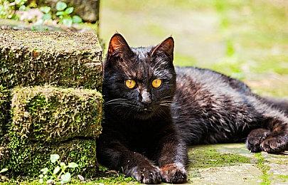 曝《湮灭之潮》于2026年秋季发售 今年底推试玩版